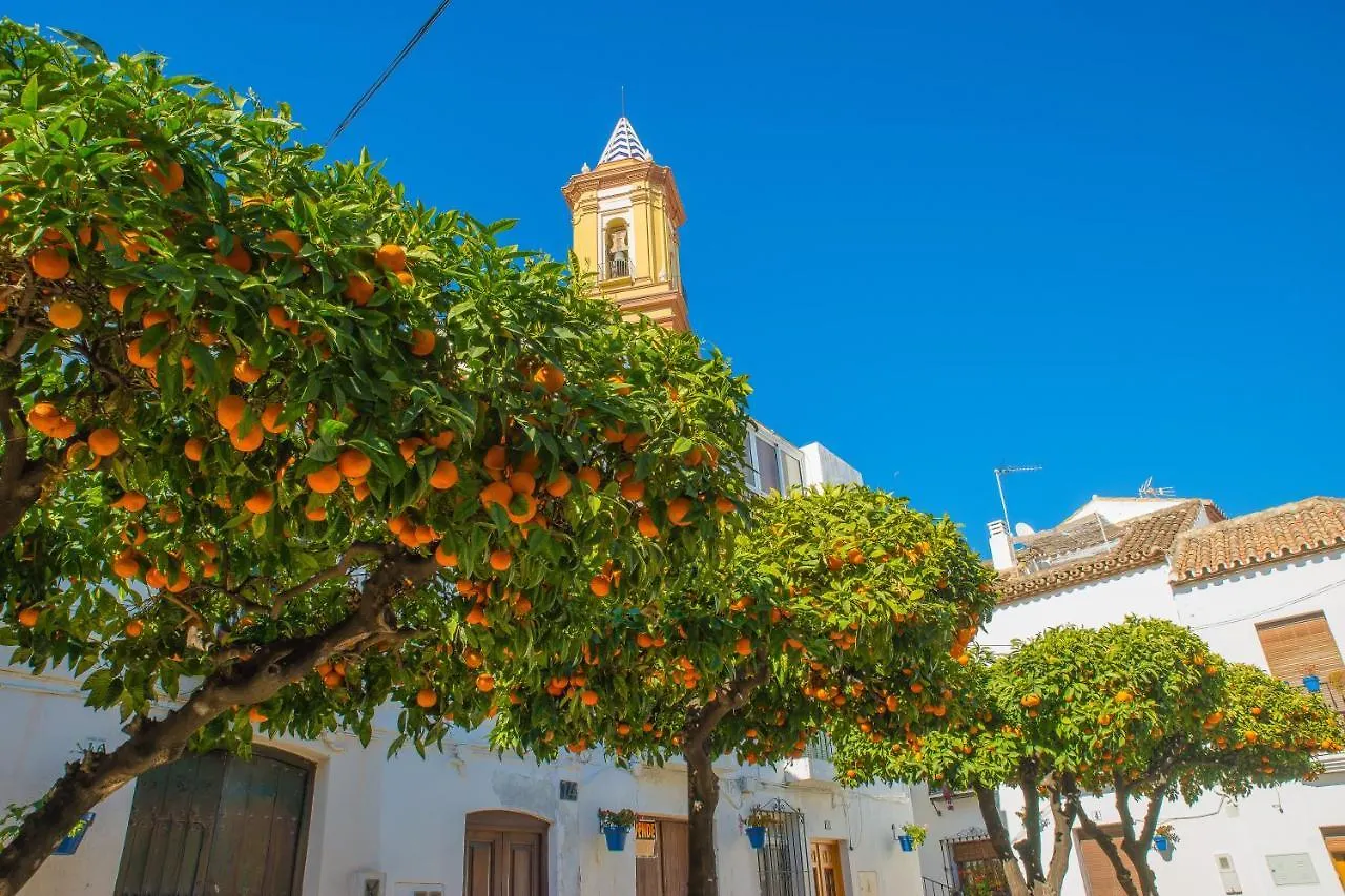 Escape To Estepona Spain